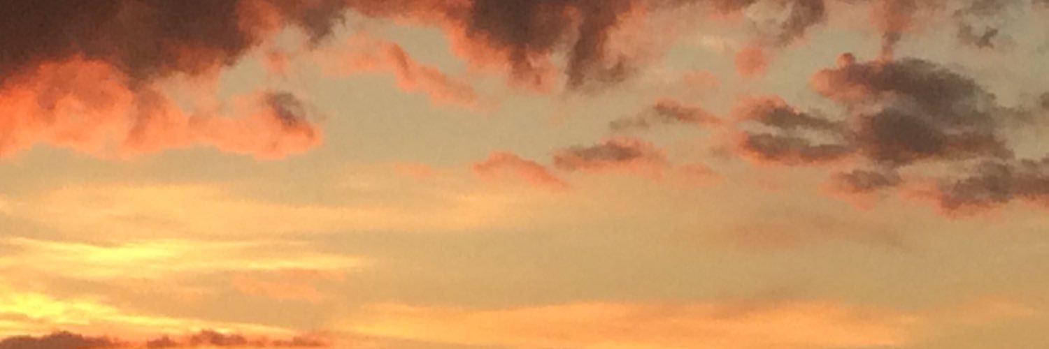 mllindroos's profile banner image