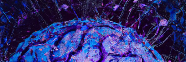 holland_neuro Profile Banner