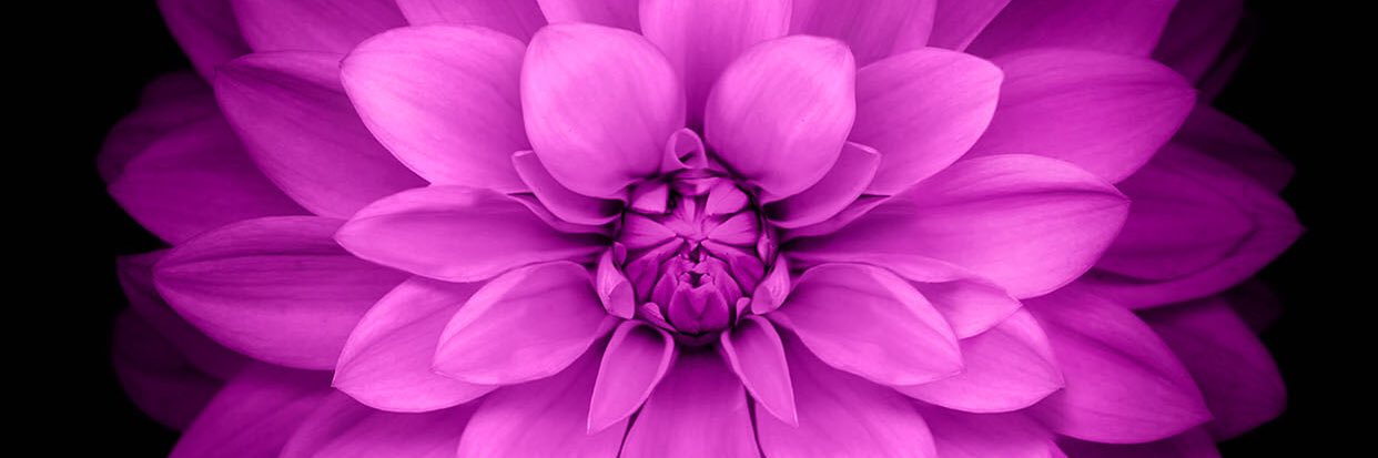 Francis_1298's profile banner image