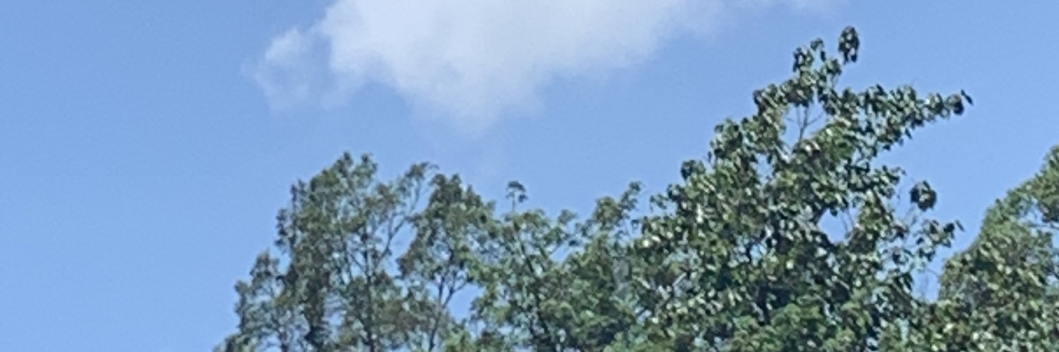 piscesboy banner
