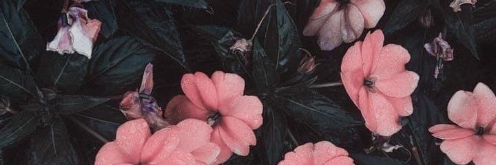 tvoikyn's profile banner image