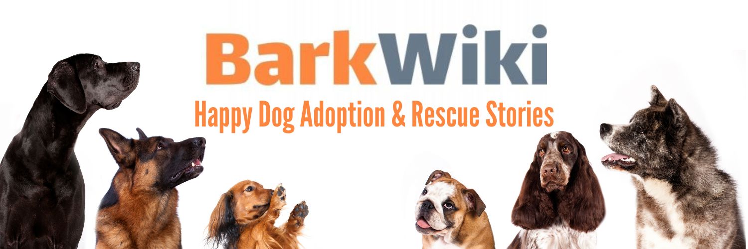 barkwiki's profile banner image