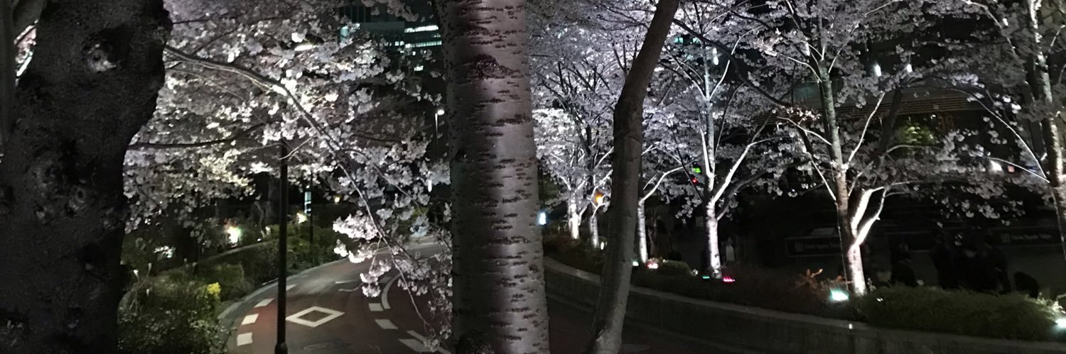 Hima Vidula, MD, MS, FACC banner