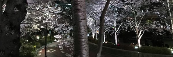 himavidula Profile Banner