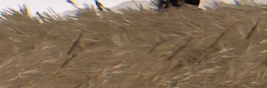 509_M2's profile banner image