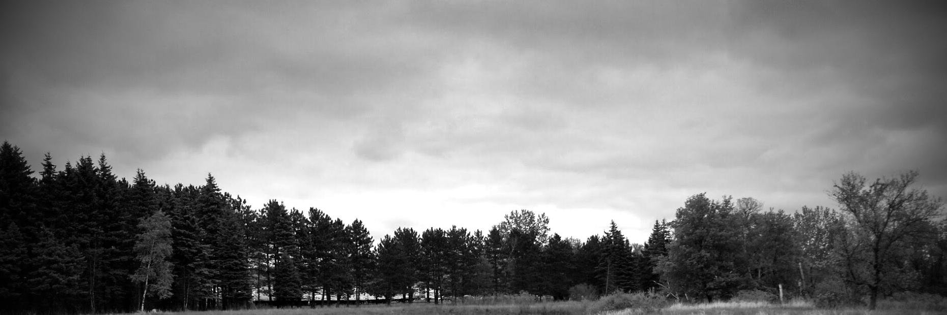 Peter Carlson banner