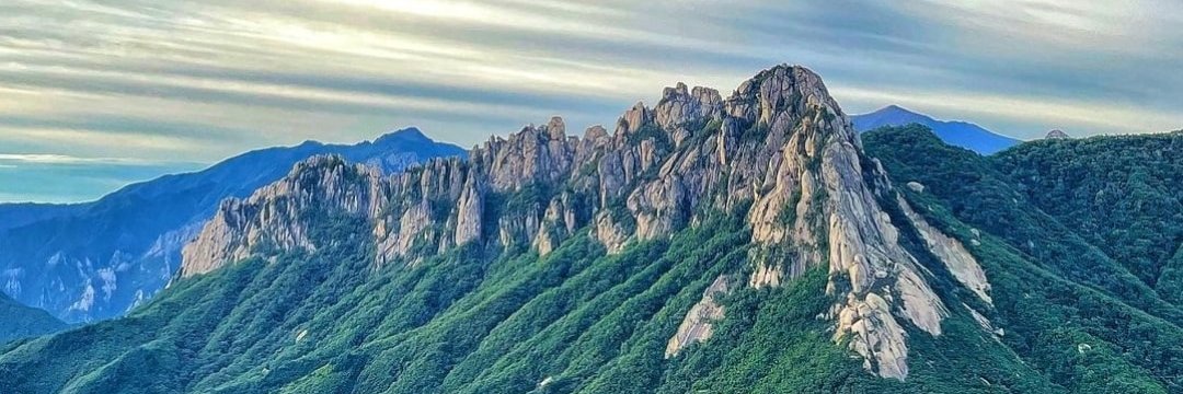 wonjuok's profile banner image