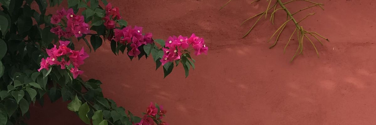 andreajmnz9's profile banner image
