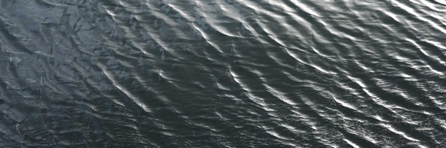 saraschelde's profile banner image