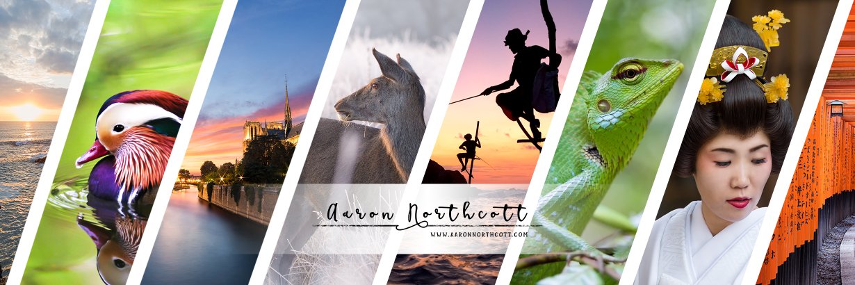 AaronNorthcott's profile banner image
