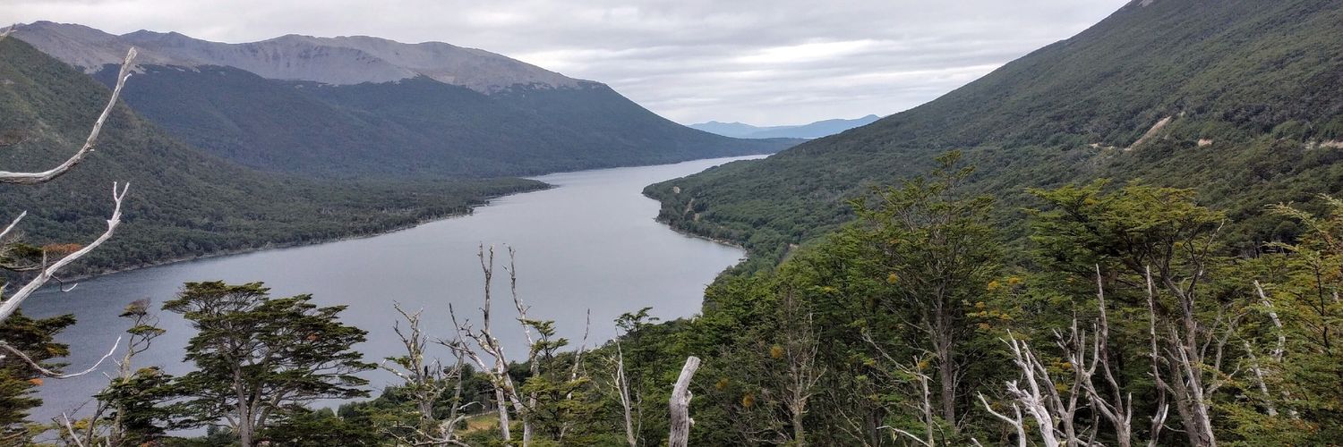 #susynor💛🌹 banner