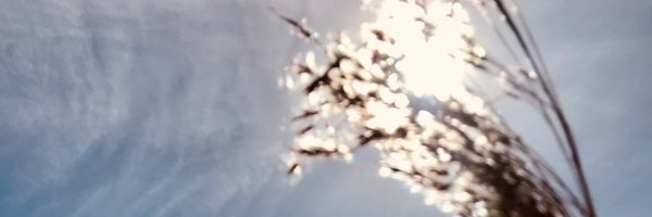 violettevauloup Profile Banner