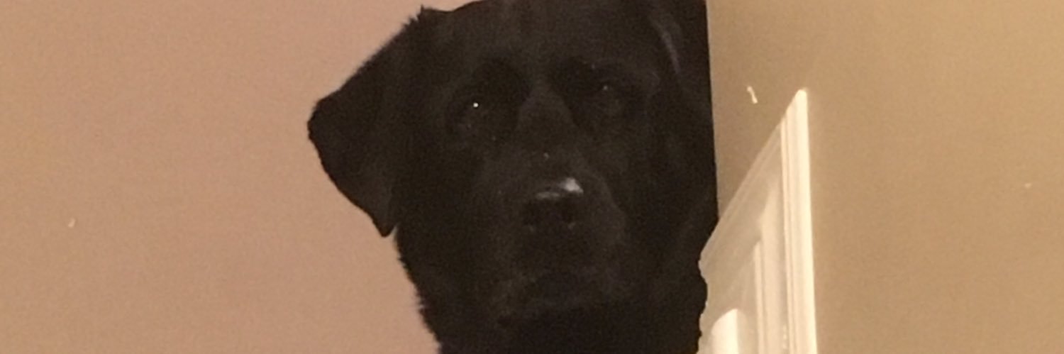 SWilli49's profile banner image