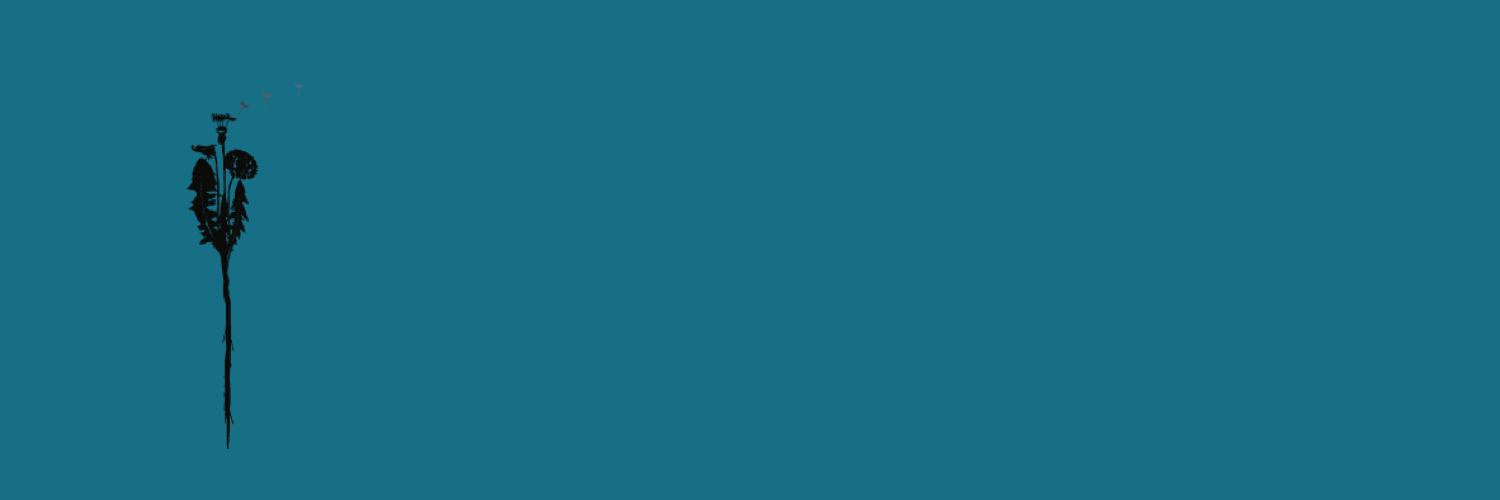VTinenit's profile banner image