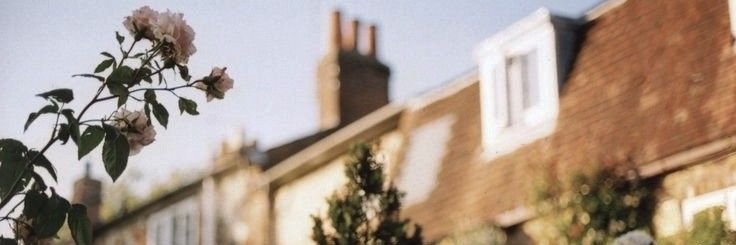 예링이 banner