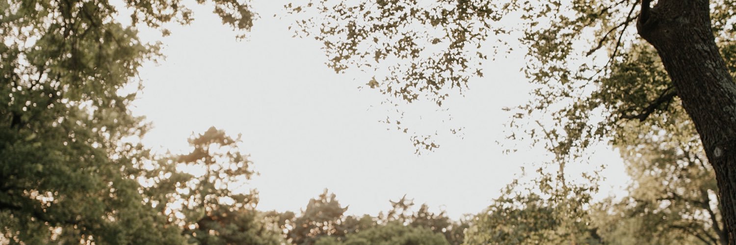 tamIam01's profile banner image