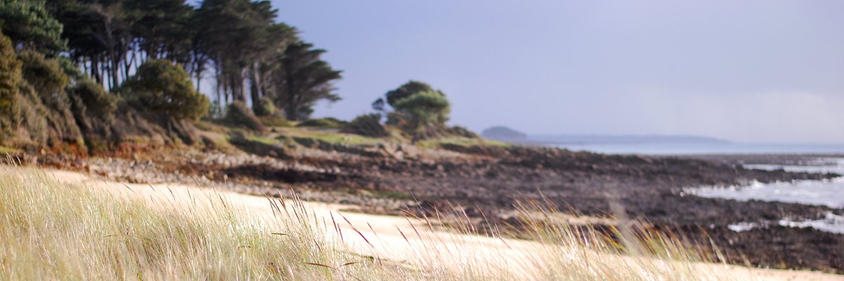 inspeaux's profile banner image