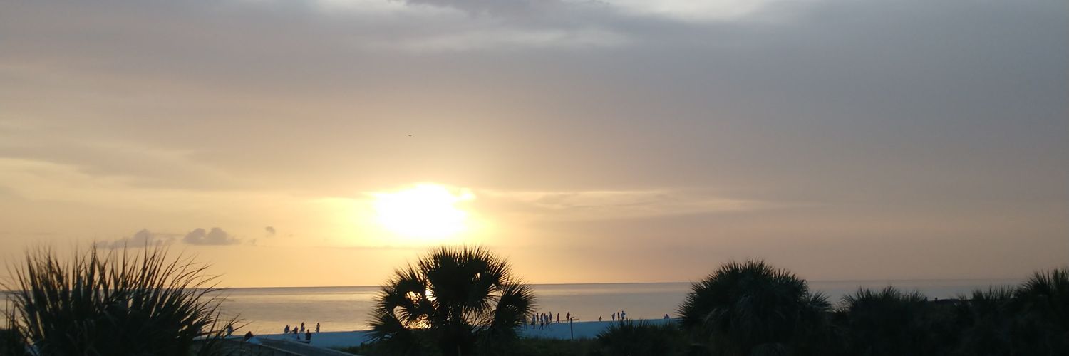 ballcrazyboys's profile banner image