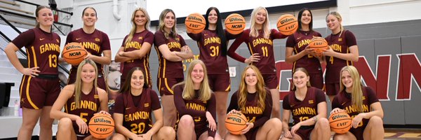 GannonWBB Profile Banner