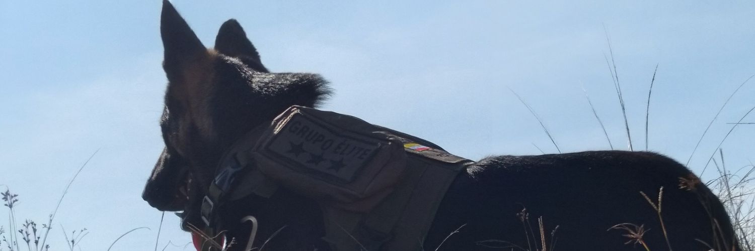GeanGallanti's profile banner image