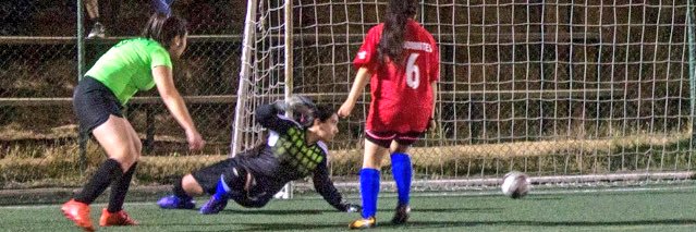 Daniela__Tapia's profile banner image