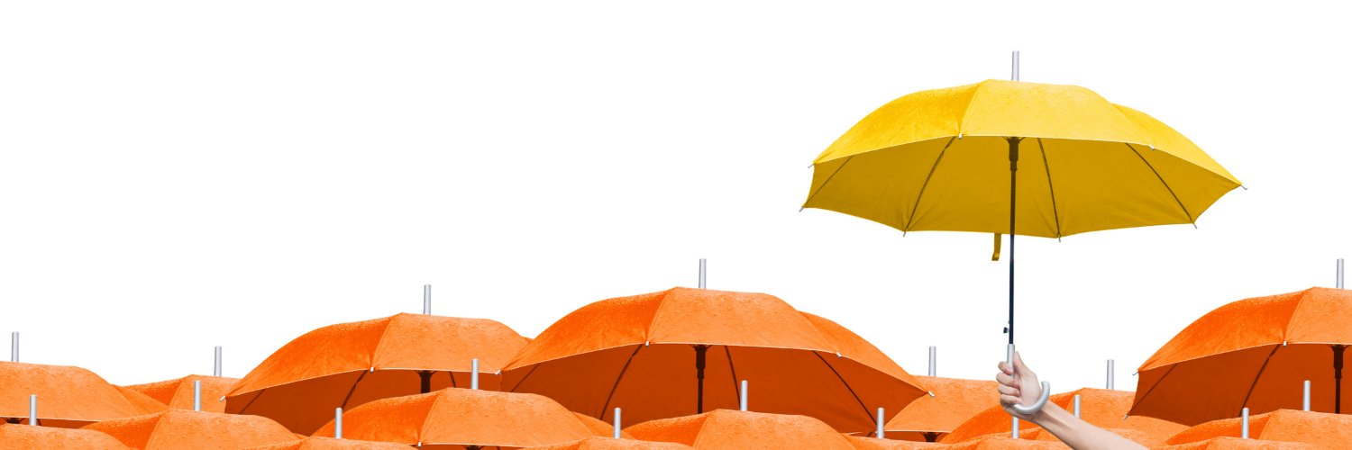 Code-Switch Consultants banner