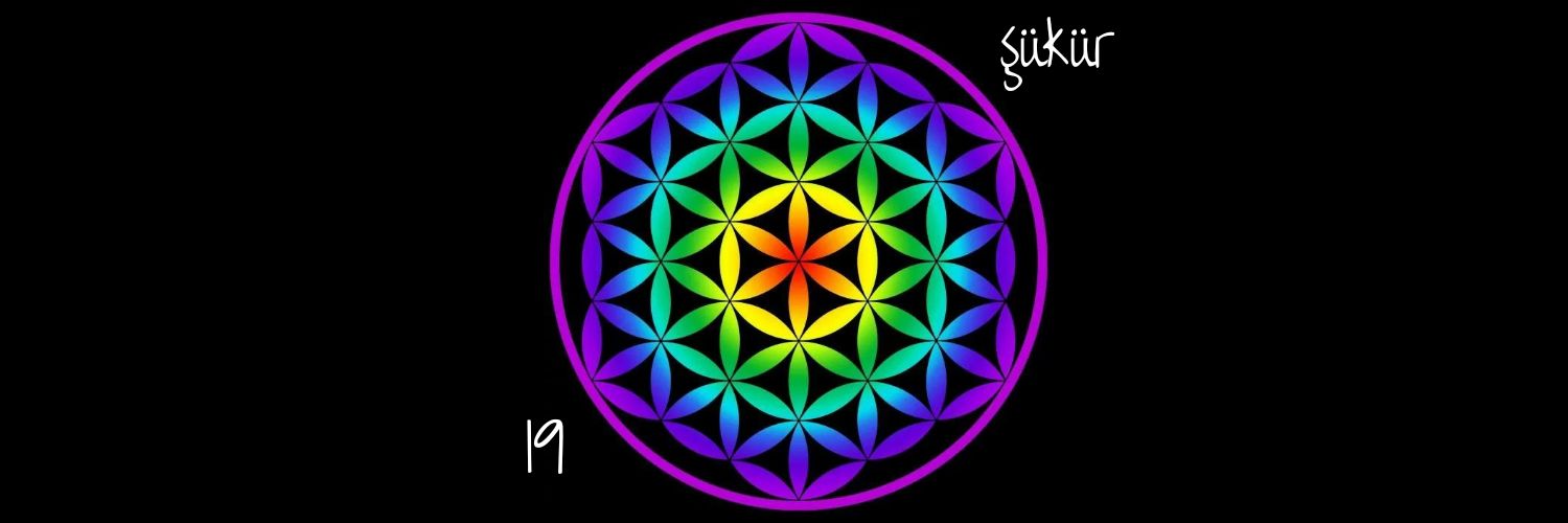 hknblgc's profile banner image