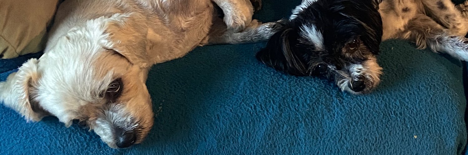 chubba72's profile banner image