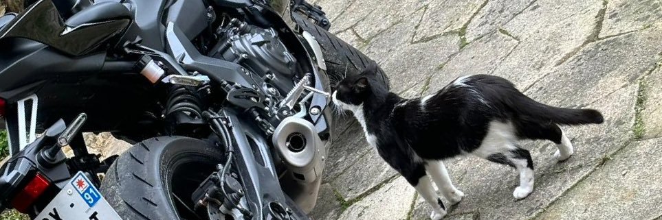 𝕊𝕒𝕔𝕙𝕠𝕦 ™ banner