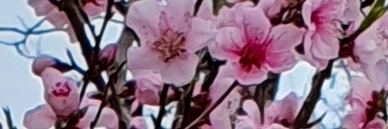 kevsertopal's profile banner image