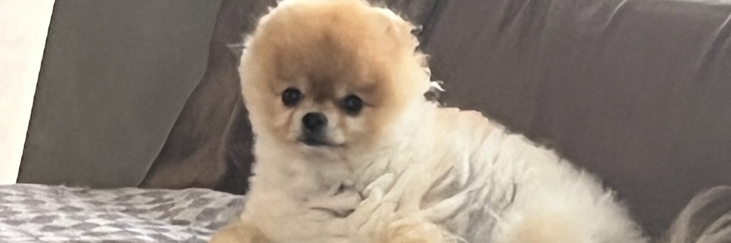 のえるれい様 banner