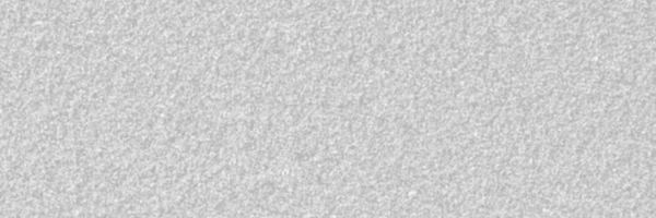 NewYorkEdge Profile Banner