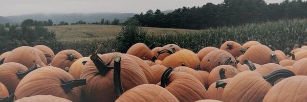 answrseekr Profile Banner