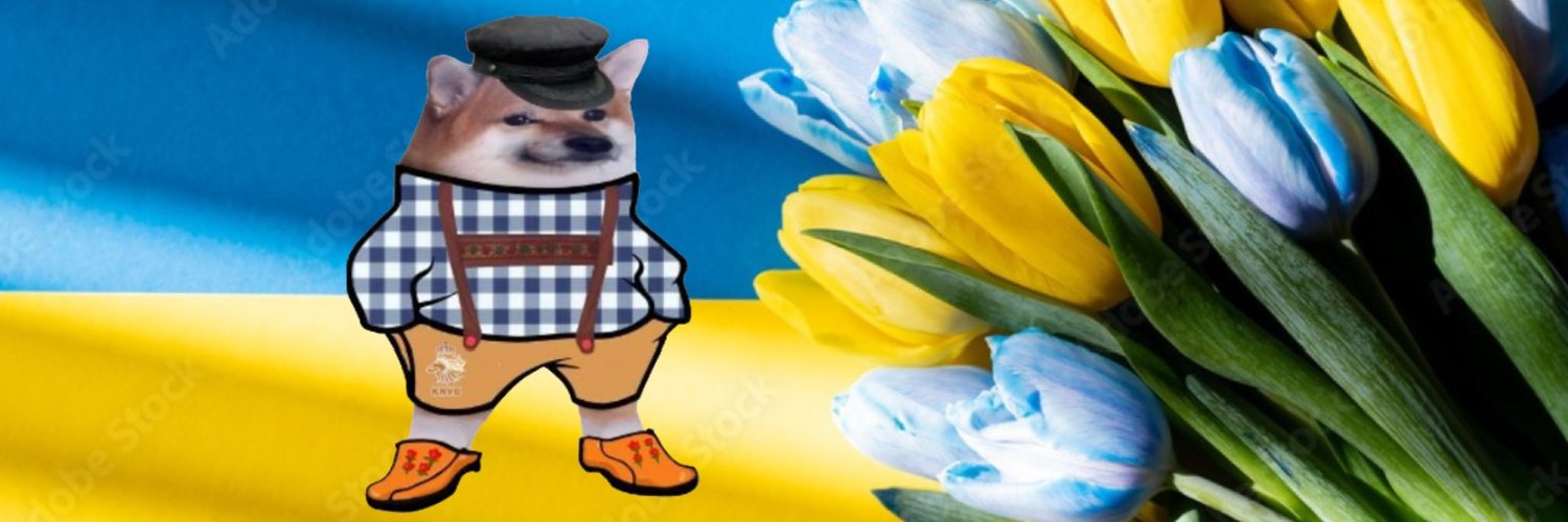 Torixas banner
