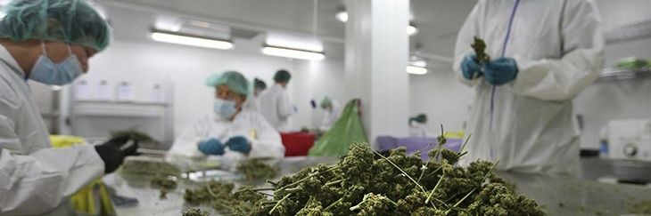 Big McSpliff 3.0 - $APU 🐸 🦵🏾$LINK ⛓️⛓️⛓️⛓️⛓️ banner