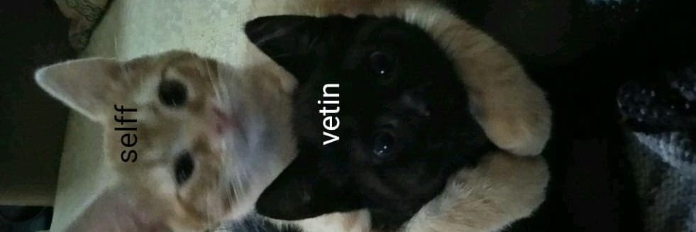 paiN littlelittle banner