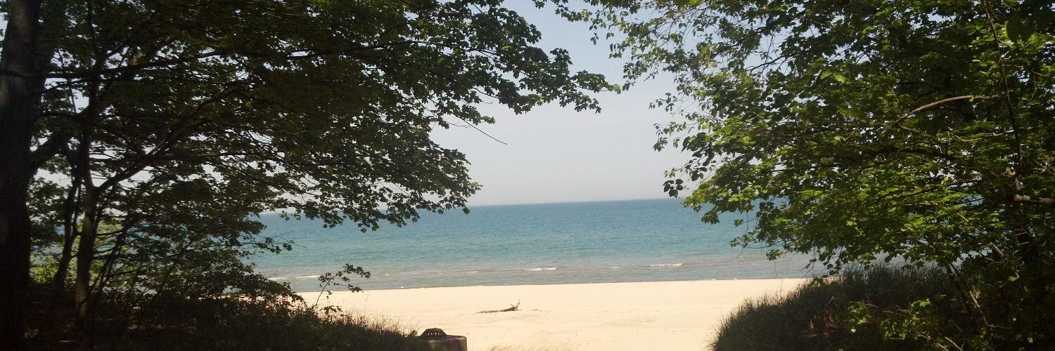 Sandy Hayward banner