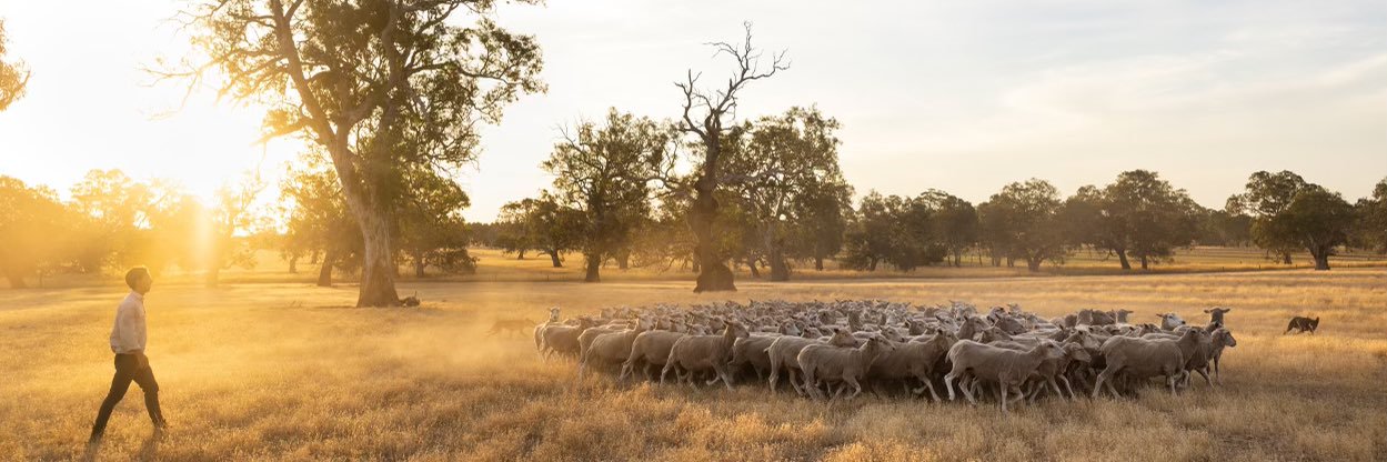 Johnny Gardner banner