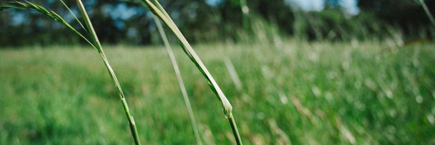mark joseph aquino banner