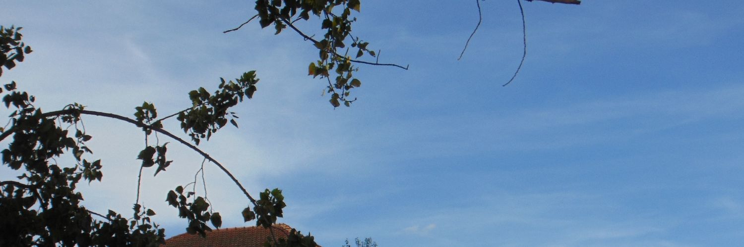guilleo_'s profile banner image