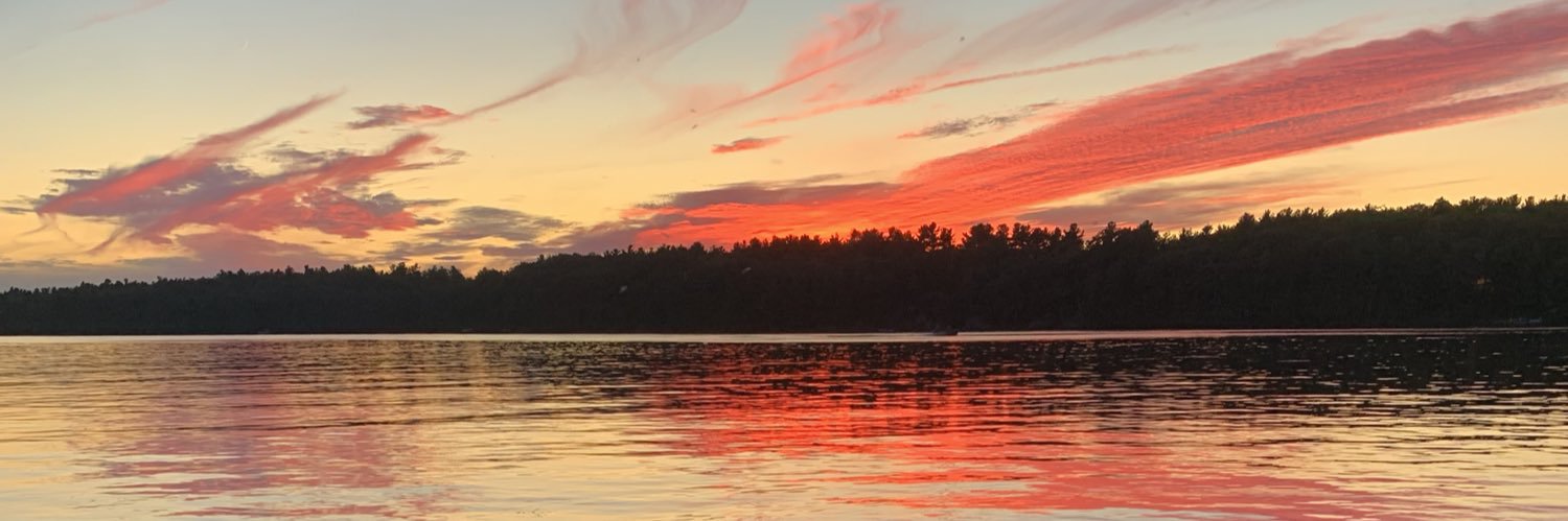 Stacey Fitzgerald banner