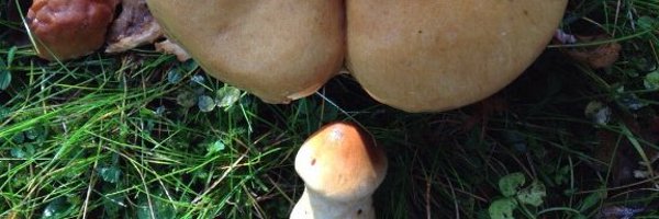 RyanRandy69 Profile Banner