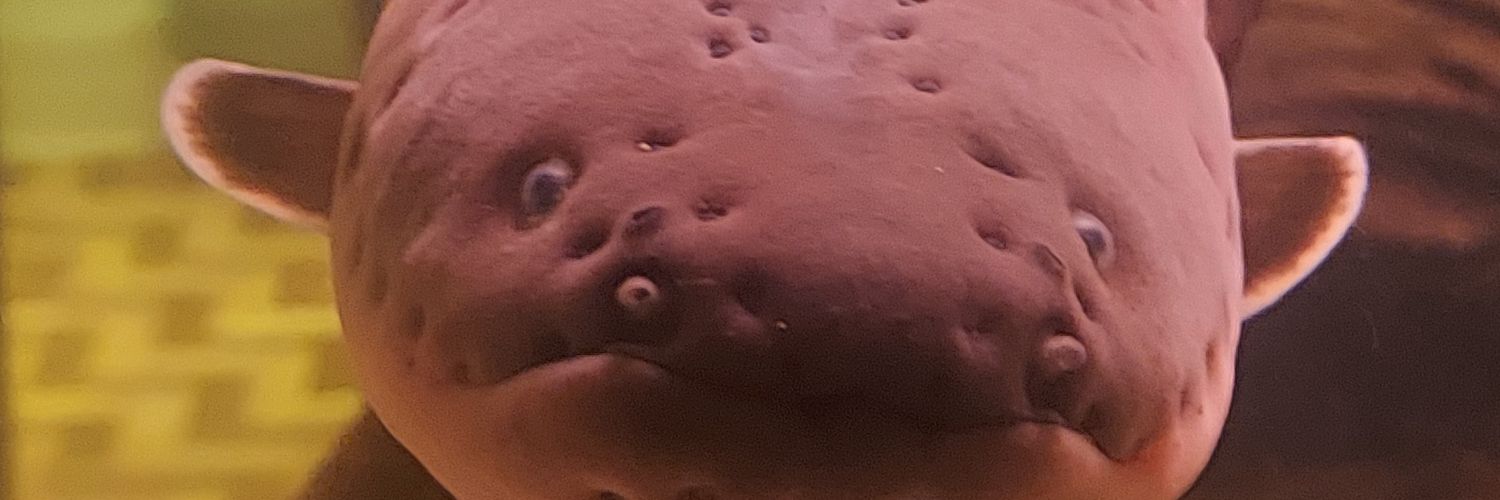 grelinho de microplástico banner