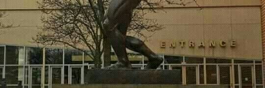 AfricanPundit's profile banner image