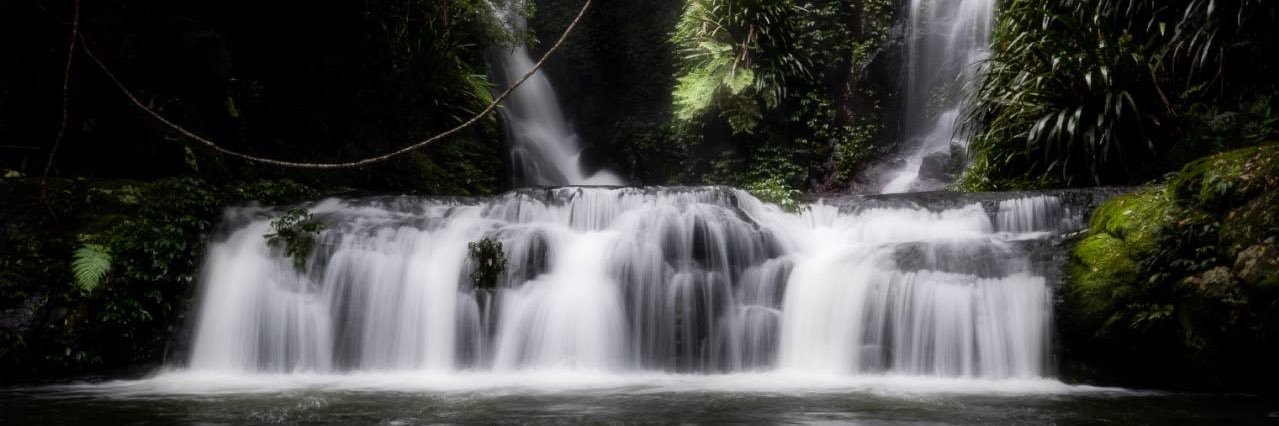 in_focus_studios banner