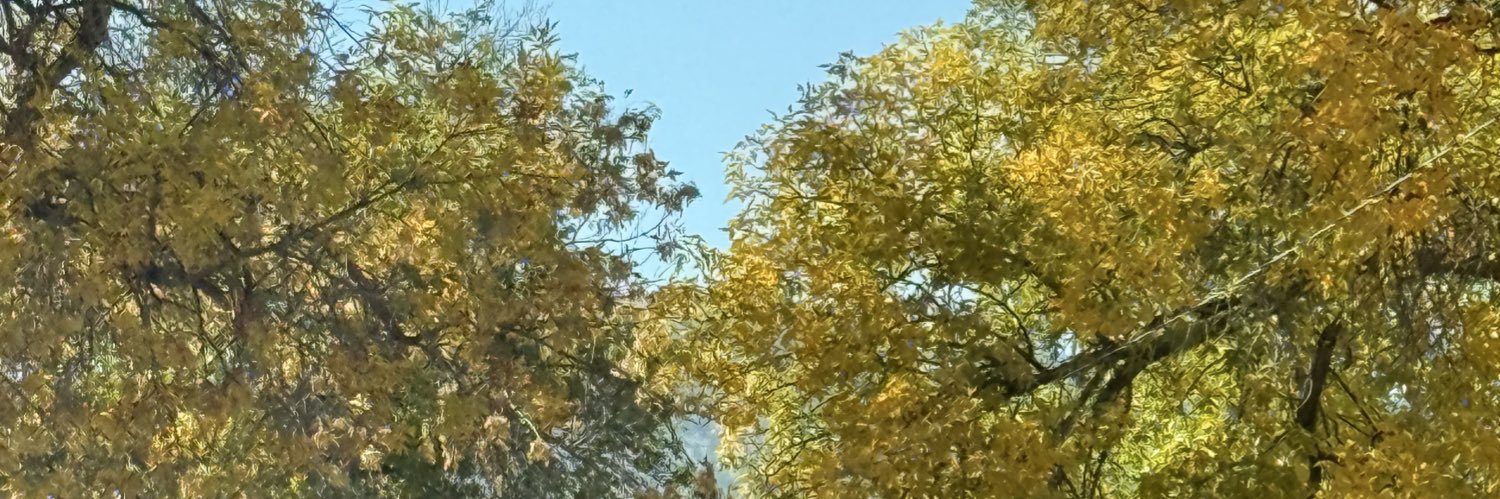 Ruby Tiwari, PhD banner