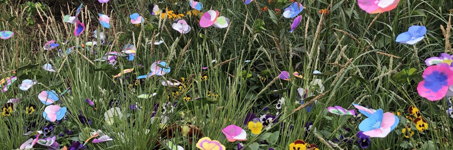 Brummie Sally banner