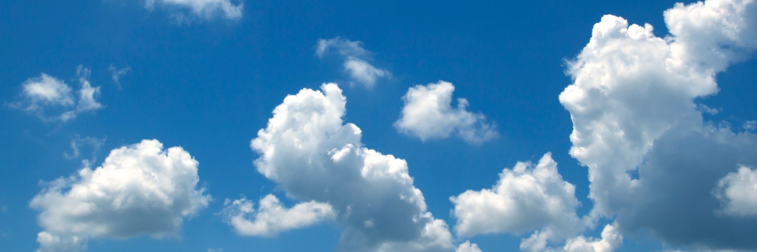 Cathy Vlahogiannis banner