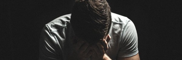 camel77598164 Profile Banner