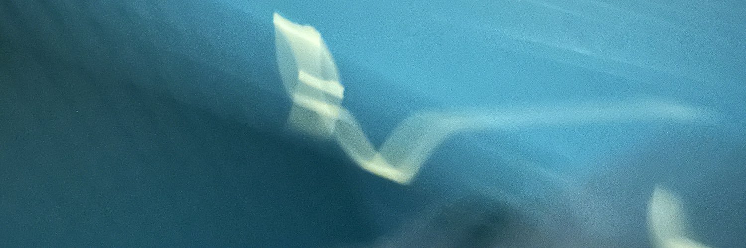 Ellen Andrea Wang banner